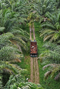 berita-rekomendasi-foto