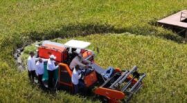 Petani memanen padi di Jawa Tengah—simbol keberhasilan program percepatan tanam yang dongkrak produksi nasional. (Facebook.com @Kementerian Pertanian Republik Indonesia)